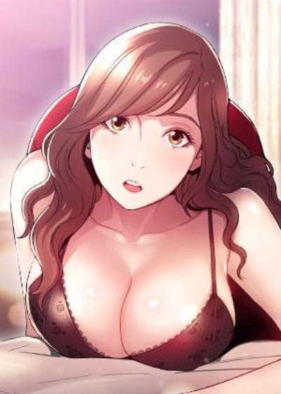 钢之炼金术师 - 兄弟寻找贤者之石